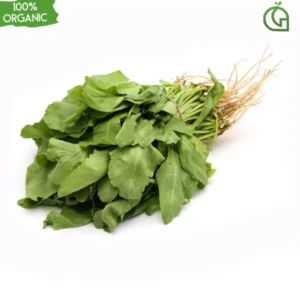 Organic - Palak / Spinach