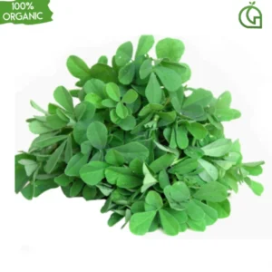 Methi