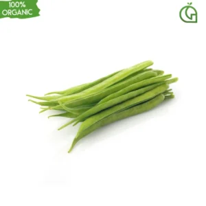 Cluster Beans