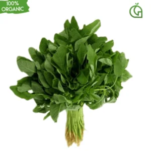 Organic - Green Amaranthus
