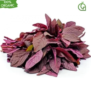 Red Amaranthus
