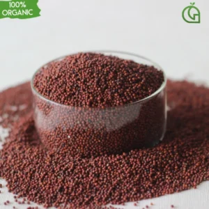 Ragi