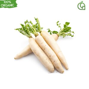 radish