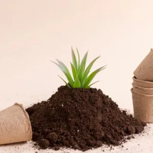 Jeevamirtham - Soil Revitalizer