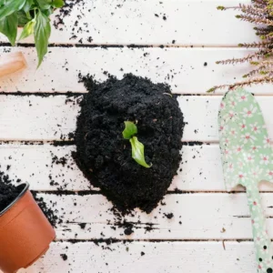 Neem Cake -  Soil Protector & Fertilizer