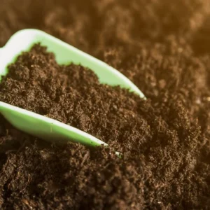 Vermicompost - Nutrient-Rich Soil Food