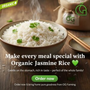 Organic Jasmine Rice/Thooyamalli Rice