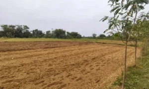Eco-Friendly Farming
